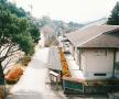 kւ猩